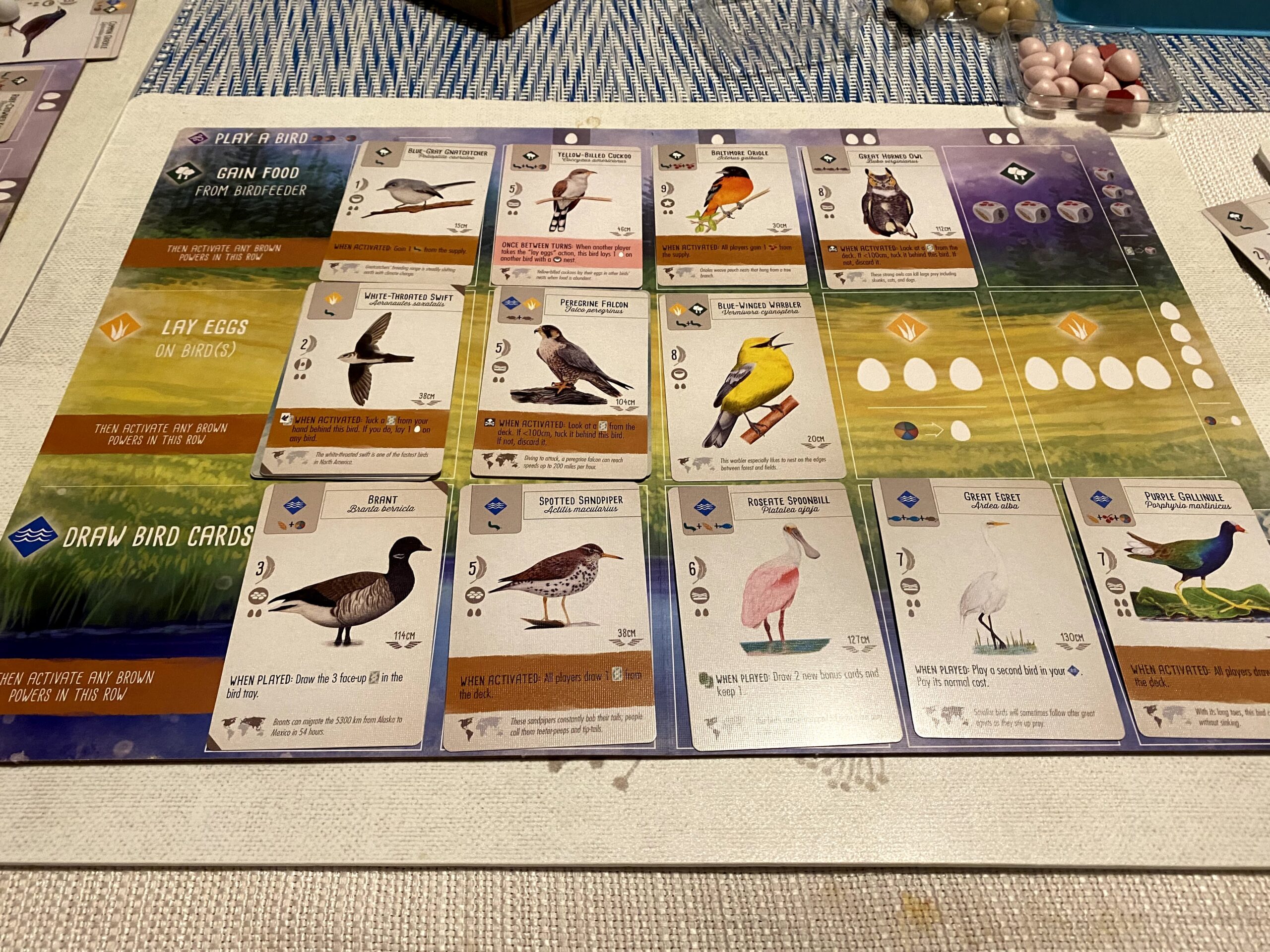 Wingspan